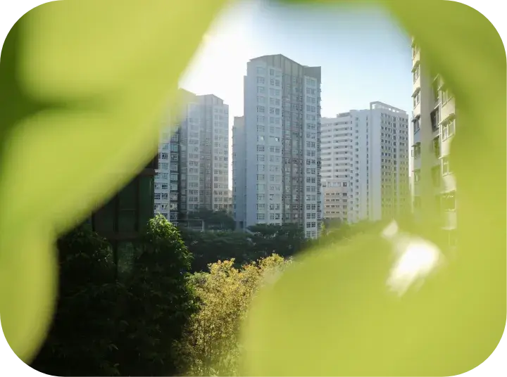 Edificaciones vistas entre vegetación