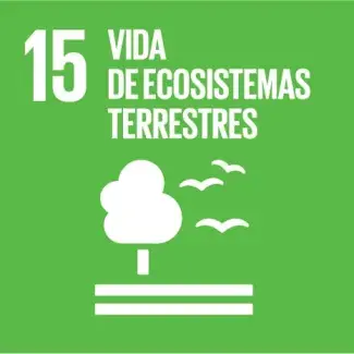 Objetivo de Desarrollo Sostenible